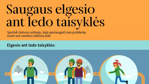 Saugaus elgesio ant ledo taisyklės - Sputnik Lietuva
