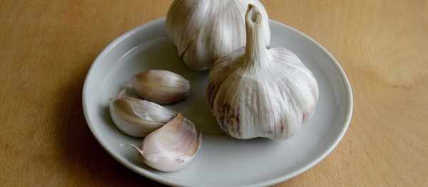 Česnakas Česnakas - Sputnik Lietuva