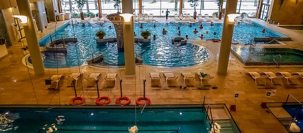 Оздоровительный комплекс - бассейн и бани Оздоровительный комплекс - бассейн и бани - Sputnik Литва