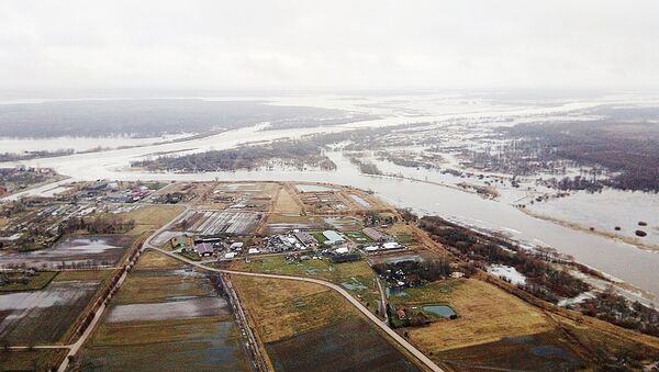 Наводнение в Шилутском районе, архивное фото - Sputnik Литва