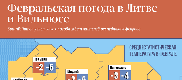 Февральская погода в Литве и Вильнюсе Февральская погода в Литве и Вильнюсе - Sputnik Литва