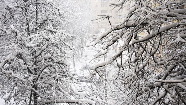 Снегопад, архивное фото - Sputnik Литва