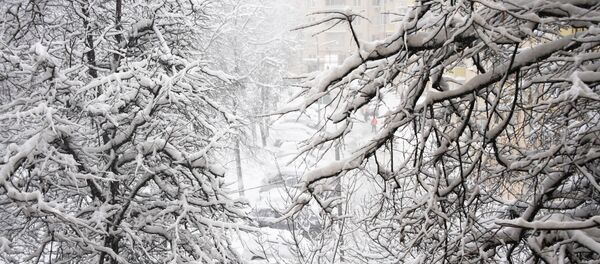 Снегопад, архивное фото - Sputnik Литва