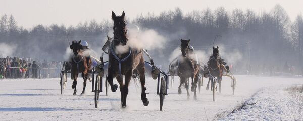 Sartų žirgų lenktynės Sartų žirgų lenktynės - Sputnik Lietuva