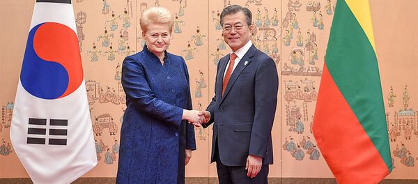Встреча Дали Грибаускайте с президентом Республики Корея Мун Чжэ Ином - Sputnik Литва