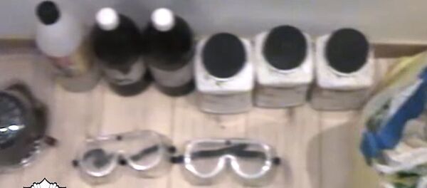 Производство кокаина в Литве - Sputnik Lietuva