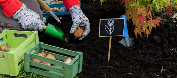 Работа на цветочной ферме Работа на цветочной ферме - Sputnik Литва