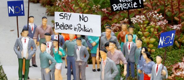 Миниатюра, демонстрирующая пикетчиков с плакатами в преддверии референдума в отношении будущего членства Великобритании в ЕС - Sputnik Литва