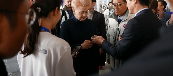 Грибаускайте встретилась с вице-президентом Samsung, архивное фото - Sputnik Литва