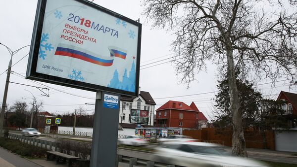 Предвыборная агитация в Краснодаре, архивное фото - Sputnik Литва