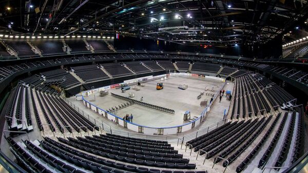 Арена Жальгирис, архивное фото - Sputnik Литва