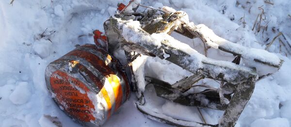 Бортовые самописцы разбившегося в Подмосковье Ан-148 - Sputnik Литва