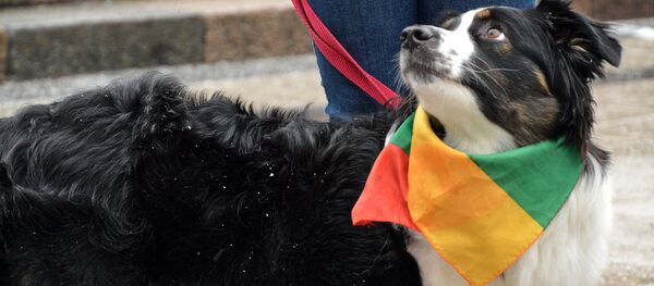 Lietuvos nepriklausomybės atkūrimo diena Lietuvos nepriklausomybės atkūrimo diena - Sputnik Lietuva