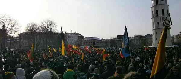 Nacionalistų mitingas Nacionalistų mitingas - Sputnik Lietuva