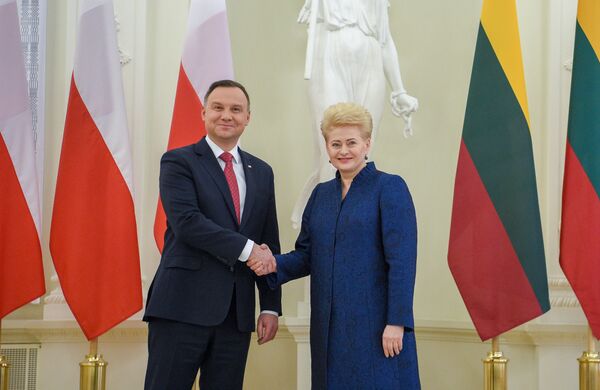 Президент Литвы Даля Грибаускайте и президент Польши Анджей Дуда Президент Литвы Даля Грибаускайте и президент Польши Анджей Дуда - Sputnik Литва