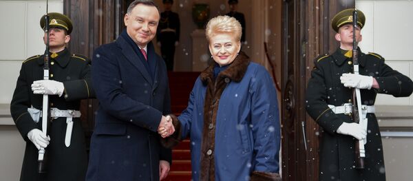 Президент Литвы Даля Грибаускайте и президент Польши Анджей Дуда - Sputnik Литва