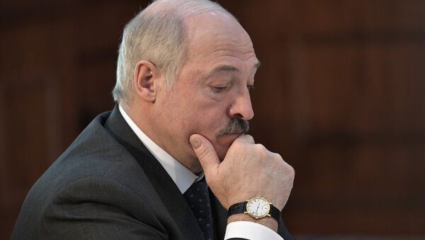 Президент Беларуси Александр Лукашенко на заседании Высшего Евразийского экономического совета - Sputnik Lietuva