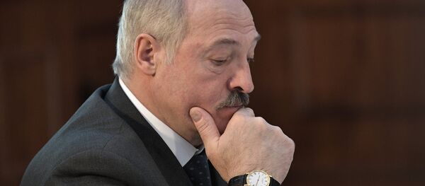 Президент Беларуси Александр Лукашенко на заседании Высшего Евразийского экономического совета Президент Беларуси Александр Лукашенко на заседании Высшего Евразийского экономического совета - Sputnik Lietuva