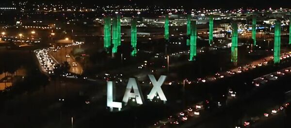 Los Andželo oro uostas - Sputnik Lietuva