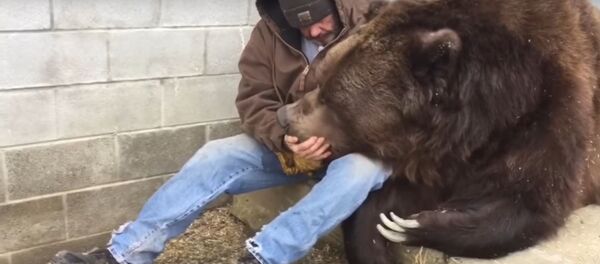 Американец нашел способ, как утешить медведя Американец нашел способ, как утешить медведя - Sputnik Lietuva
