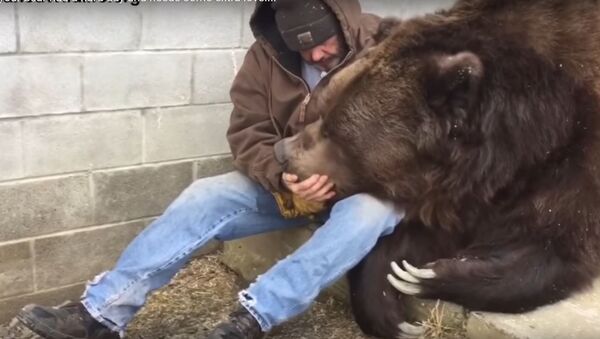 Американец нашел способ, как утешить медведя - Sputnik Lietuva