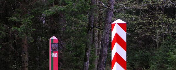 Польско-белорусская граница, Беловежская пуща, архивное фото - Sputnik Литва