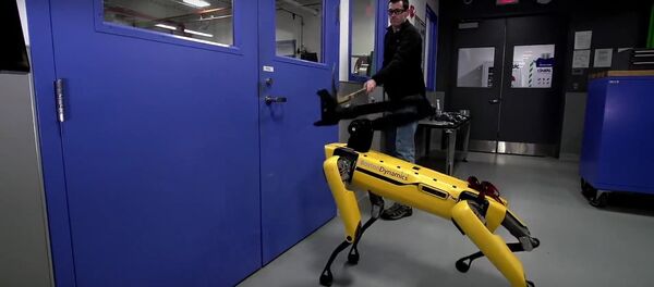 Компания Boston Dynamics продемонстрировала испытания собаки-робота SpotMini Компания Boston Dynamics продемонстрировала испытания собаки-робота SpotMini - Sputnik Литва