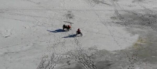 Kuršių Nerija — tikra žiemos pramogų sostinė Kuršių Nerija — tikra žiemos pramogų sostinė - Sputnik Lietuva