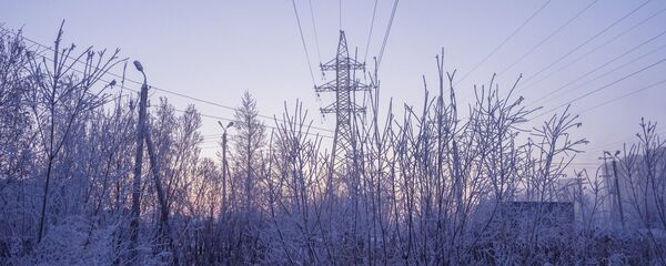 Линии электропередач, архивное фото - Sputnik Литва