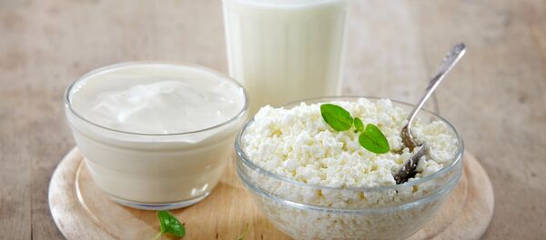 Творог, сметана и молоко - Sputnik Литва