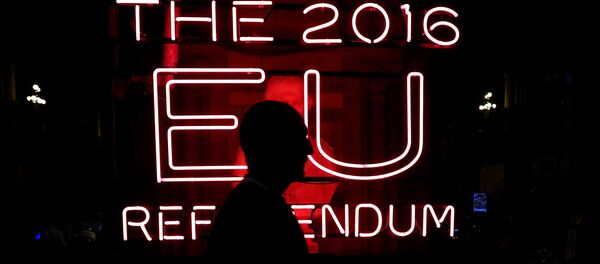 Неоновая вывеска референдума 2016 в Великобритании - Sputnik Литва