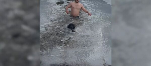 Канадец спас провалившуюся под лед собаку - Sputnik Литва