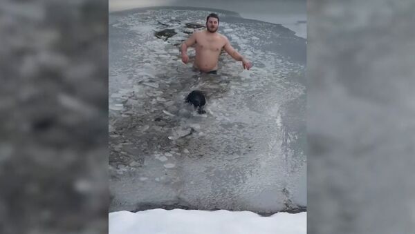 Канадец спас провалившуюся под лед собаку - Sputnik Литва