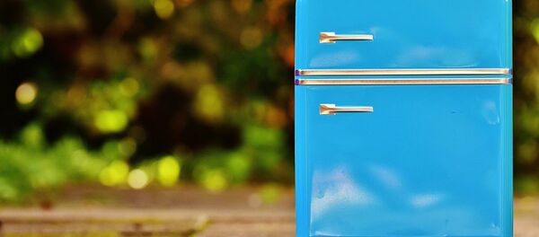 Šaldytuvas Šaldytuvas - Sputnik Lietuva