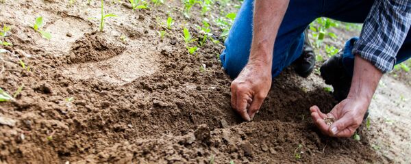 Darbas darže Darbas darže - Sputnik Lietuva