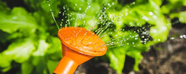 Поливка огорода, архивное фото - Sputnik Литва