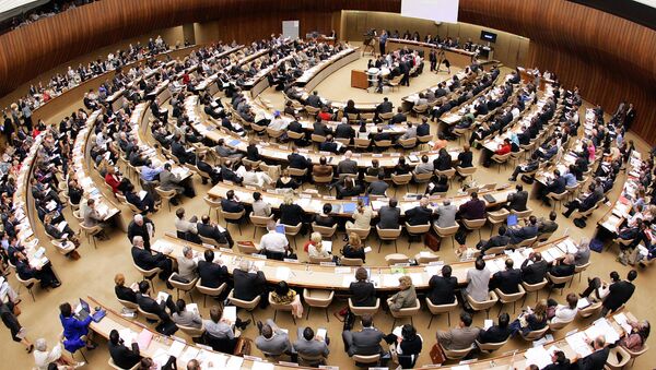 Зал заседаний Совета по правам человека ООН в Женеве, архивное фото - Sputnik Литва