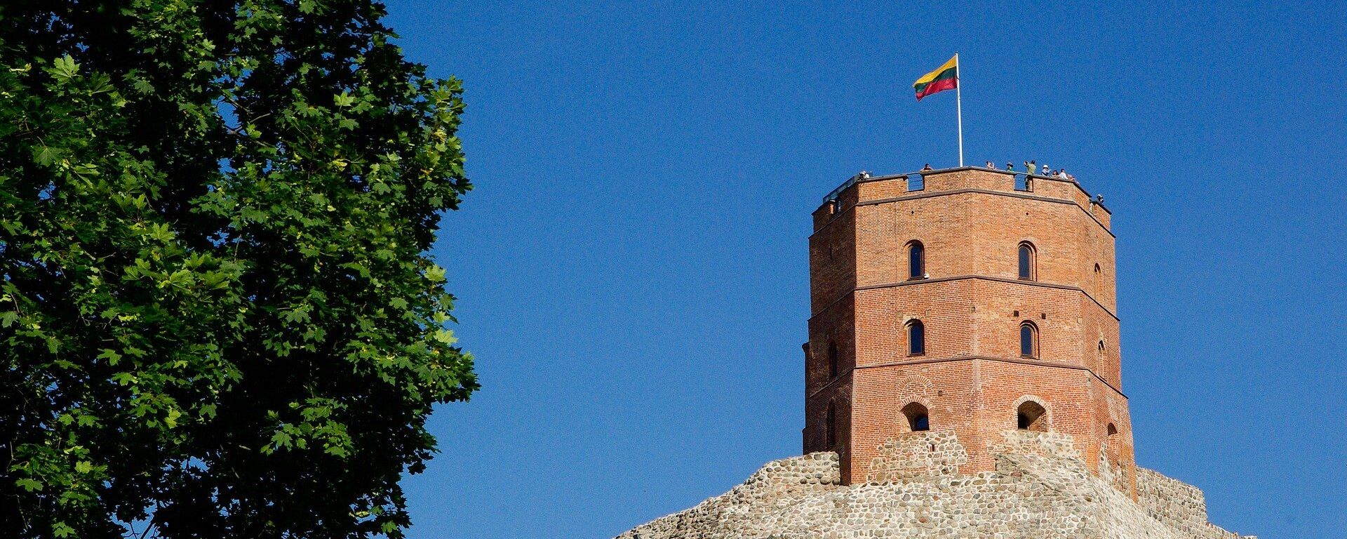 Гора Гедиминаса с башней Гедиминаса и флагом Литвы - Sputnik Lietuva, 1920, 28.06.2021