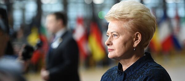 Президент Литвы Даля Грибаускайте, архивное фото - Sputnik Литва