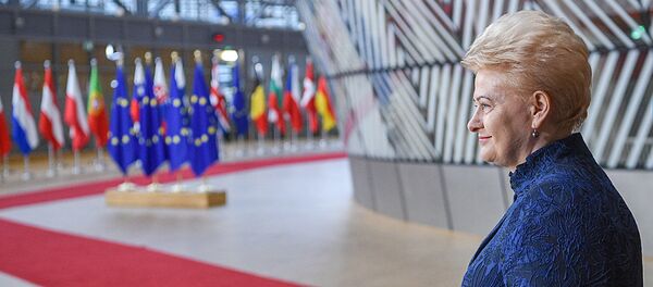 Президент Литвы даля Грибаускайте принимает участие в работе Европейского совета в Брюсселе - Sputnik Литва