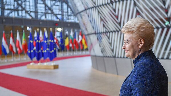 Президент Литвы даля Грибаускайте принимает участие в работе Европейского совета в Брюсселе - Sputnik Литва