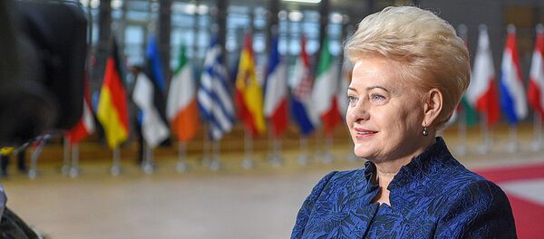 Президент Литвы Даля Грибаускайте принимает участие в работе Европейского совета в Брюсселе - Sputnik Литва