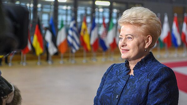 Президент Литвы даля Грибаускайте принимает участие в работе Европейского совета в Брюсселе - Sputnik Lietuva