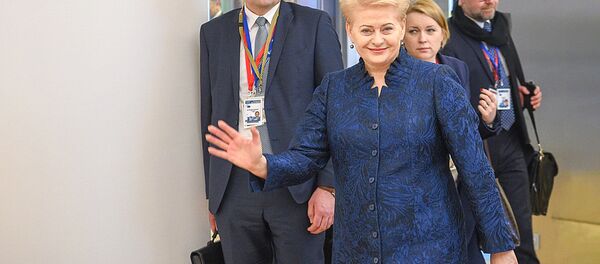 Президент Литвы Даля Грибаускайте принимает участие в работе Европейского совета в Брюсселе Президент Литвы Даля Грибаускайте принимает участие в работе Европейского совета в Брюсселе - Sputnik Литва