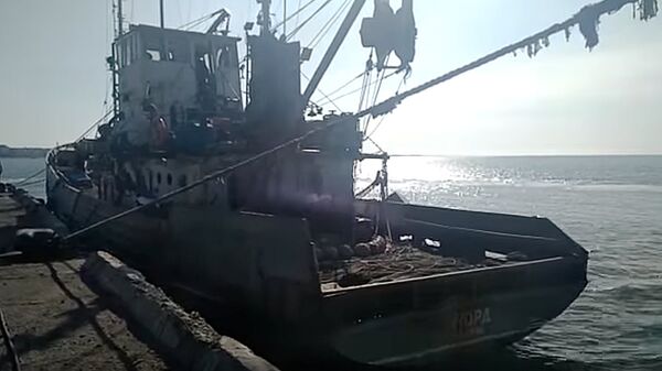 Украинские пограничники задержали судно под российским флагом Украинские пограничники задержали судно под российским флагом - Sputnik Литва