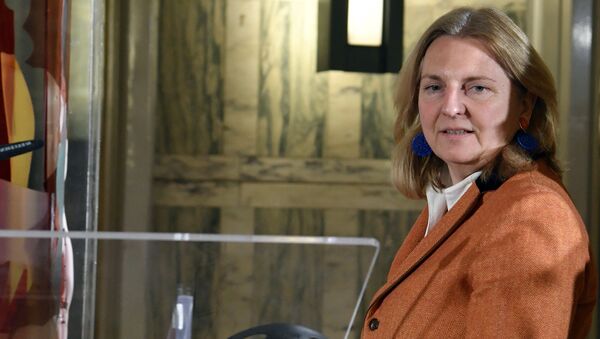 Министр иностранных дел Австрии Карин Кнайсль, архивное фото - Sputnik Литва
