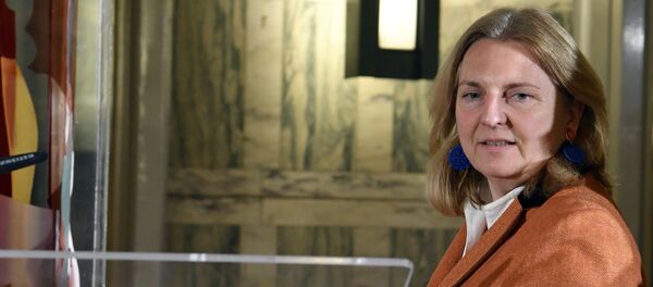 Министр иностранных дел Австрии Карин Кнайсль, архивное фото - Sputnik Литва