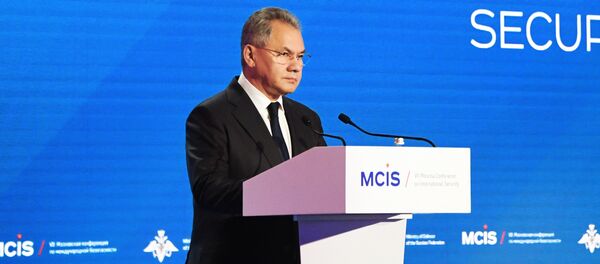 Министр обороны РФ Сергей Шойгу выступает на VII Московской конференции по международной безопасности Министр обороны РФ Сергей Шойгу выступает на VII Московской конференции по международной безопасности - Sputnik Lietuva