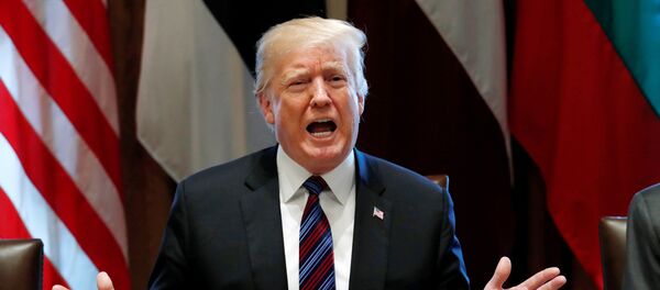 Президент США Дональд Трамп, архивное фото - Sputnik Литва