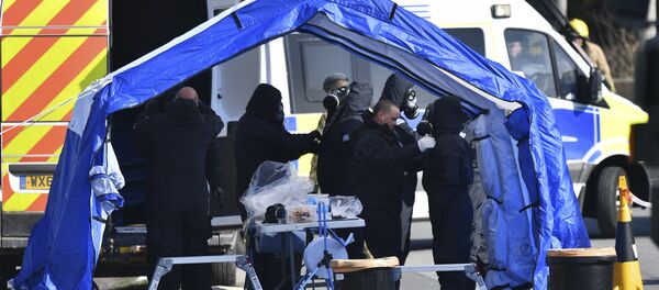 Следственные мероприятие в Солсбери Следственные мероприятие в Солсбери - Sputnik Литва